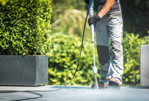 Best Graffiti Removal  in El Monte, CA