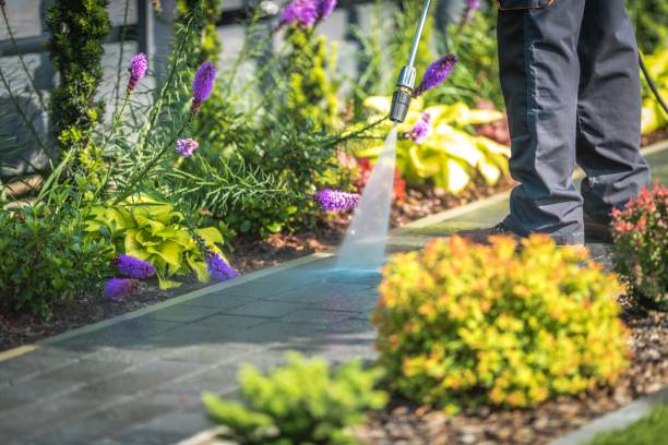 Best Driveway Pressure Washing  in El Monte, CA